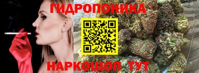 spice Волгодонск