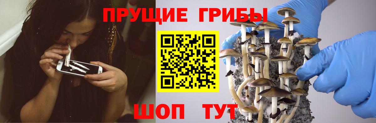 Галлюциногенные грибы Cubensis Рославль